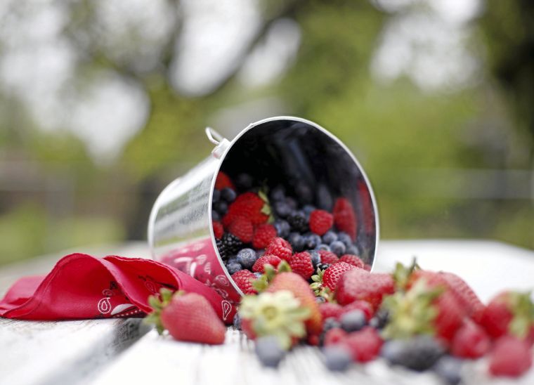 Berry picking